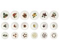 Le Primizie 18 darabos Étkészlet, Brandani, porcelán