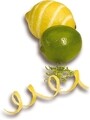 Citrus héjvágó, Fresh Choice Lemon Zester, Excelsa, 2x20x2 cm, rozsdamentes acél