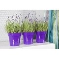 Klasszikus edény 14 cm, műanyag, szürke