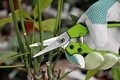 Kertészeti olló, Verdemax, Lady Bypass, 18 cm, acél / műanyag, zöld / szürke