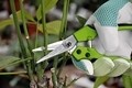 Kertészeti olló, Verdemax, Lady Bypass, 18 cm, acél / műanyag, zöld / szürke