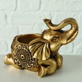Elephant Tromina V2 Gyertyatartó, Boltze, 12x8x10 cm, poligyanta