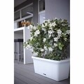 Rattan ültetőgép 30 cm, műanyag, zöld