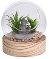 Aloe Buddha dekoráció, 12x12,5 cm, polipropilén