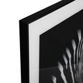 Zebra Profile Üveg díszkép, Versa, 50x50 cm