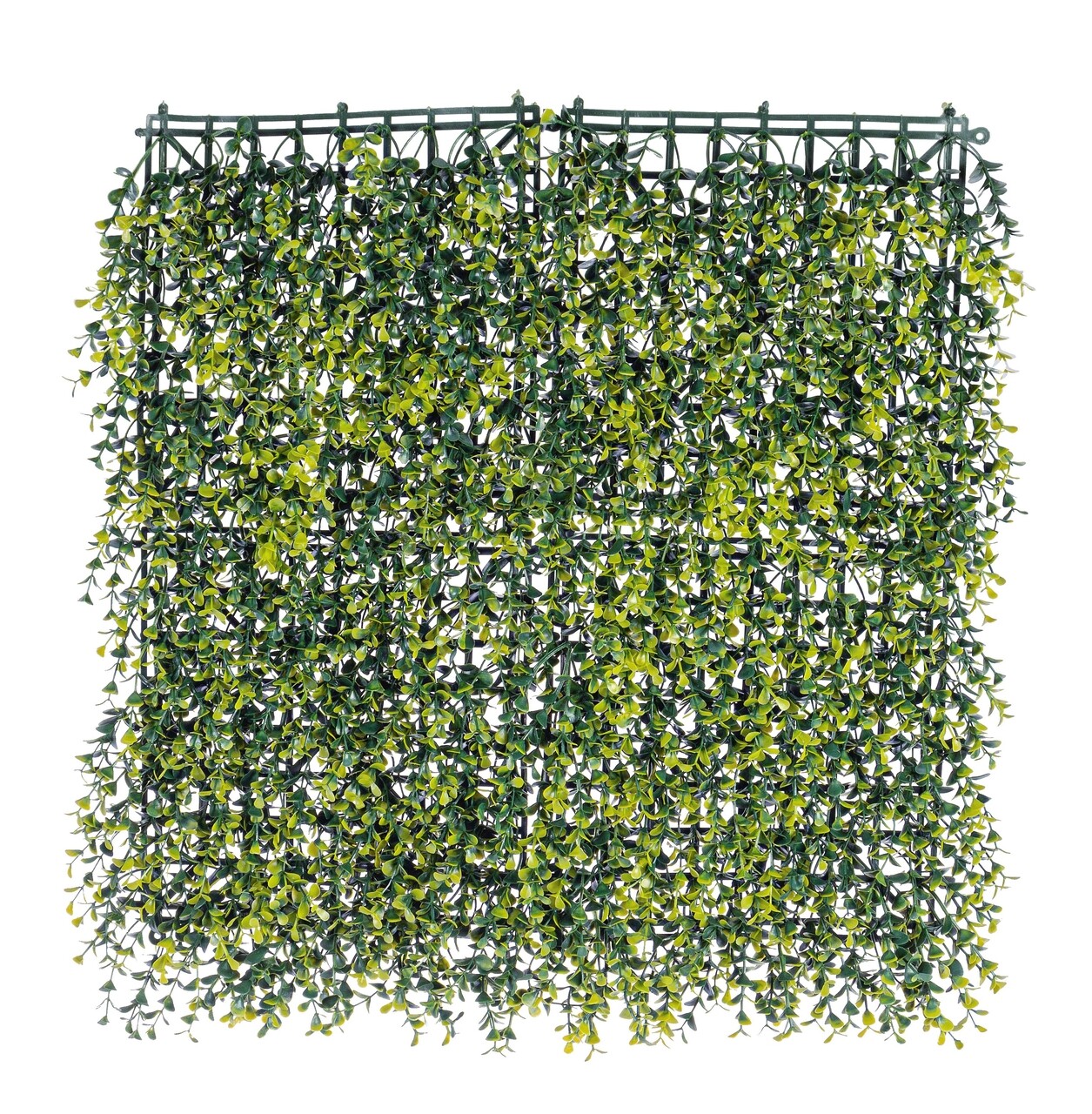 Buxus Mesterséges zöld panel, Bizzotto, 50 x 50 cm