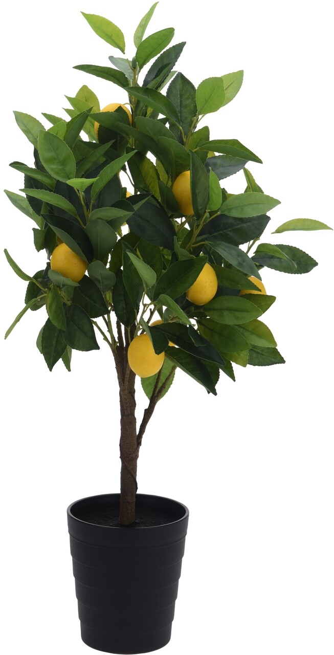 Lemon tree Dekoráció, H70 cm, polipropilén