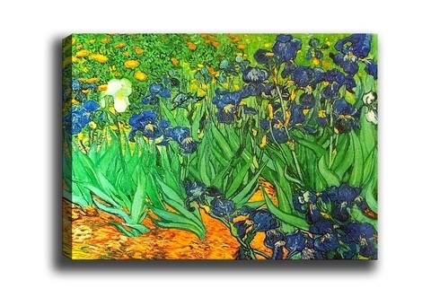 Irises Garden díszfestés, Központi festmény, 40x60 cm, vászon, tarka