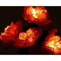 Miza kerti lámpa, Lumineo, 25x20x63 cm, 4 LED, narancs