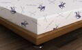 Beverly Hills Polo Club Gumis lepedő, 90x200 cm, 100% ranforce pamut, BHPC 029, kék