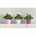 Aga Mat edények 16 cm, műanyag, matt lila