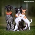 InnovaGoods, Petlux LED kisállat nyakörv