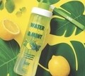Levehető szűrőpalack, Snips, Mint & Lemon, 0,75 L, tritan