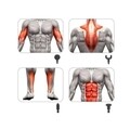 Aparat masaj intens pentru dureri musculare P302MAS001, Beper, cu percutie, 22.8x22x 6.5 cm, ABS