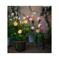 Virágos kerti lámpa, Lumineo, 6x11x49,5 cm, 1 led, lila