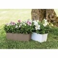 Rattan ültetőgép 30 cm, műanyag, zöld