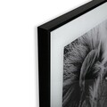 Lion Profile Üvegkép, Versa, 50x50 cm