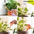 Ballwooters gömbcsöpögtetők növények öntözéséhez, InnovaGoods, Ø6x15 cm, 100 ml, üveg