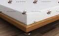 Beverly Hills Polo Club Gumis lepedő, 160x200 cm, 100% bumbac ranforce, BHPC 004, barna