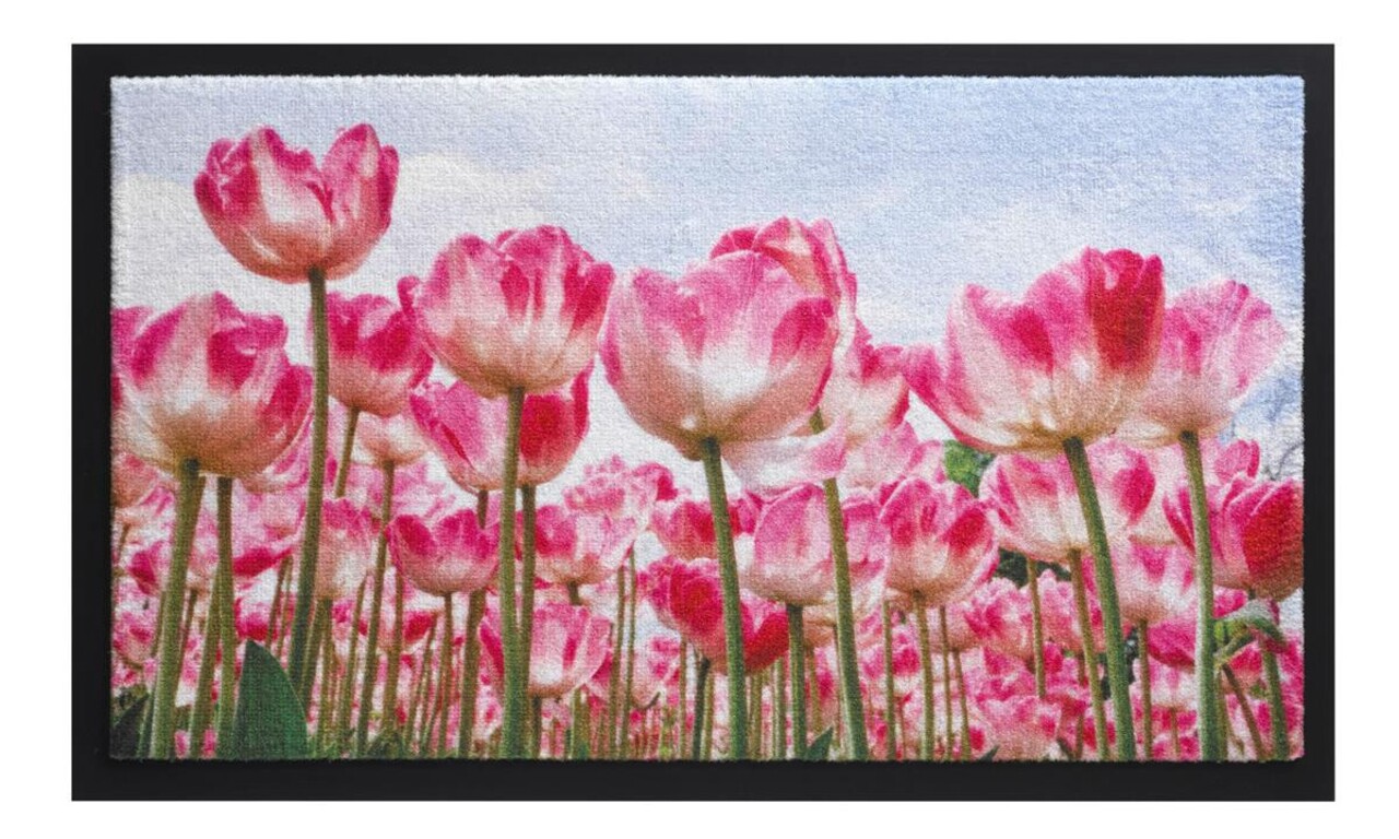 Balad Tulip Bejárati szőnyeg, Decorino, 45x75 cm, poliamid, színes