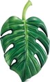 Palm Leaf Felfújható strandmatrac, 213x142 cm, polivinil-klorid, zöld