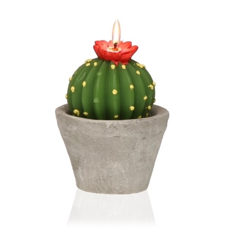 Cactus with Pot gyertya , Versa, Ø8x10,3 cm, paraffin