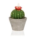 Cactus with Pot gyertya , Versa, Ø8x10,3 cm, paraffin
