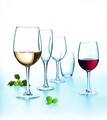 6 pohár készlet pezsgőhöz, Arcoroc, Vina, 190 ml, üveg