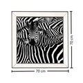 Tablou decorativ T721, Neostill, Zebra, sticla temperata, 70x70 cm