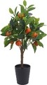 Orange Tree Dekoráció, H70 cm, polipropilén