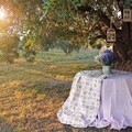 Bedora Lavande Asztalterítő, 50% pamut, 50% poliészter, 140x280 cm, többszínű