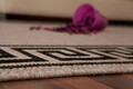 Zara szőnyeg, Dekor, 200x290 cm, polipropilén, szürke/fekete