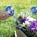 InnovaGoods Gömbcsöpögtetők növények öntözéséhez Aqua·Loon, 350 ml, üveg