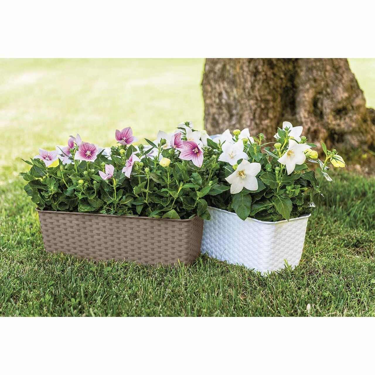 Jardiniera Rattan 50 Cm, Plastic, Crem