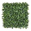 Privet Green Műfal, Bizzotto, 50x50 cm