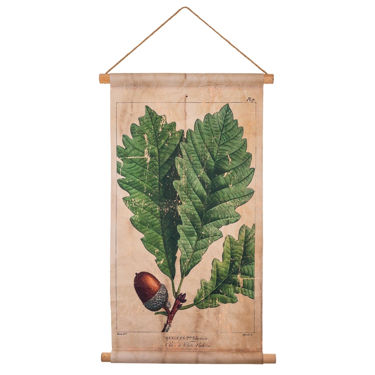 Hazelnut Leaf Fali dekoráció, Creaciones Meng, lenvászon/kínai fenyőfa, 44x73 cm