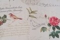 Mendola Belső függöny, Birdy, 600x245 cm, poliészter, rózsaszín