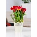 Koronka Virágcserép csipkézett 16,5 cm, műanyag, fehér