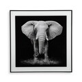 Elephant Üvegkép, Versa, 50x50 cm