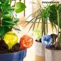 Ballwooters gömbcsöpögtetők növények öntözéséhez, InnovaGoods, Ø6x15 cm, 100 ml, üveg