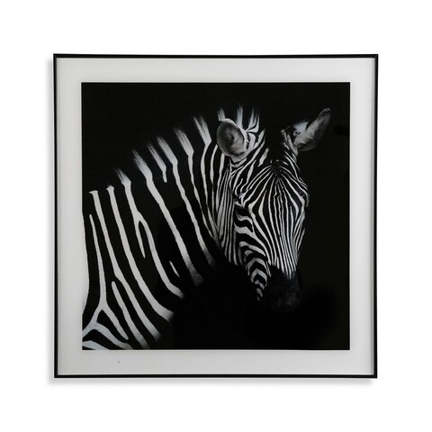 Zebra Profile Üveg díszkép, Versa, 50x50 cm