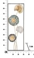Decoratiune de perete 3D Mollie, Mauro Ferretti, 30x5x88.5 cm, fier
