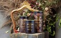 Casa Dorado tégely, Tognana Dolce, 1,38 L, üveg / rozsdamentes acél, szürke / arany