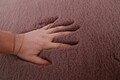 Puha Shaggy szőnyeg, Heinner, 160x230 cm, poliészter / pamut, lila
