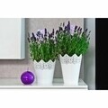Koronka Virágcserép csipkézett 16,5 cm, műanyag, fehér