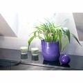 Fazék Aga Márvány 14 cm, műanyag, lila márvány