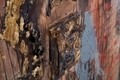 Guitar Arty Festmény, Mauro Ferretti, 90x120 cm, kézzel festett, canvas/erdeifenyő