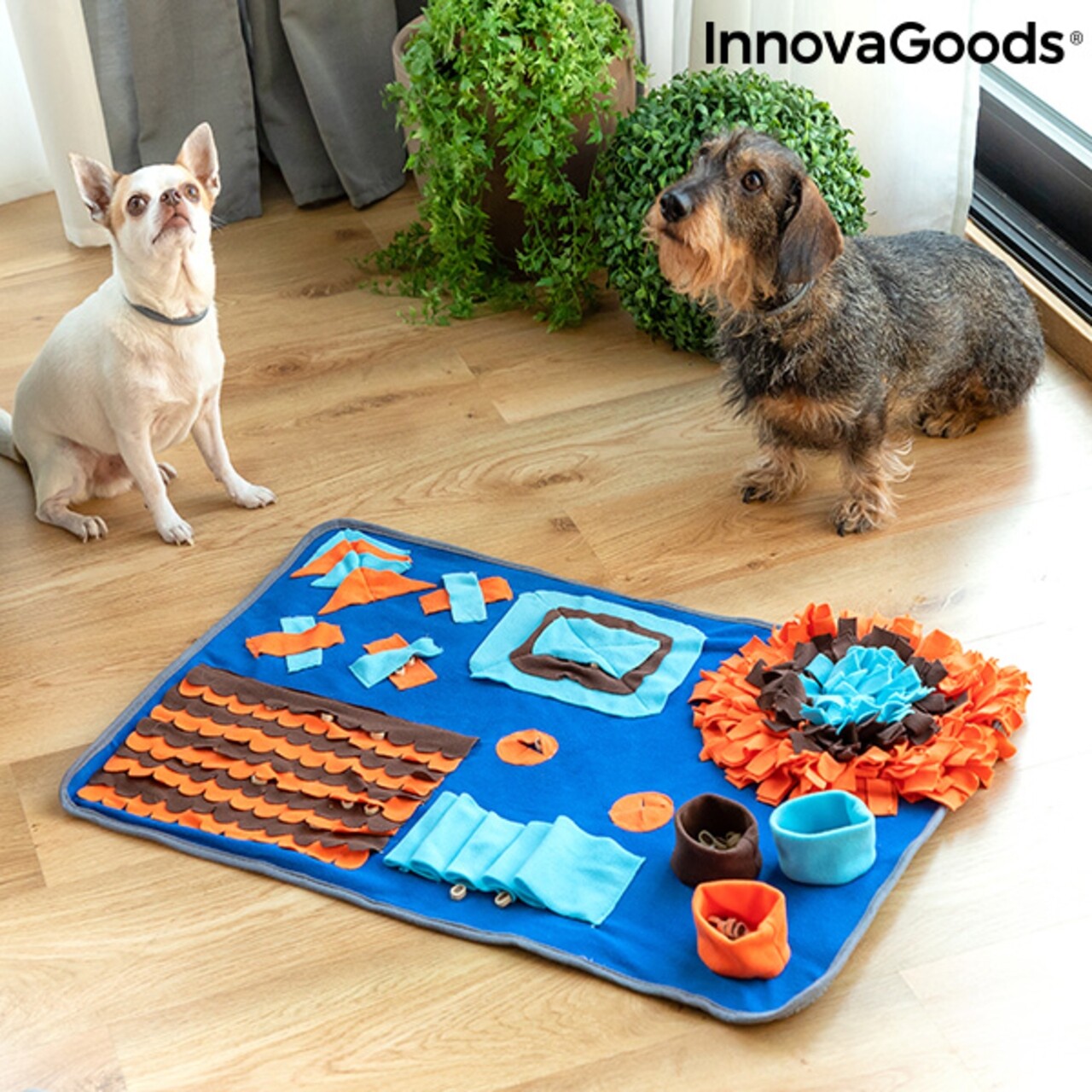 Foofield InnovaGoods Játékszőnyegek és díjak háziállatoknak, 50x75 cm