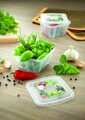 Három négyzet alakú serpenyő fedéllel, Snips, Fresch tartály, 0,25 L, polipropilén, átlátszó