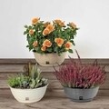 PAGLIA cseréptányér, 30 cm², műanyag, antracit